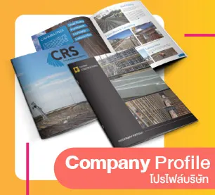 ออกแบบโปรไฟล์บริษัท ราคาถูก